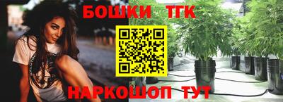 гашик Будённовск