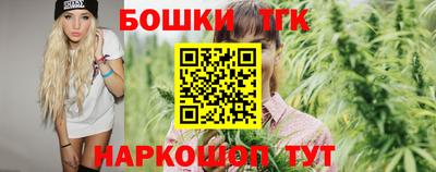 гашик Будённовск